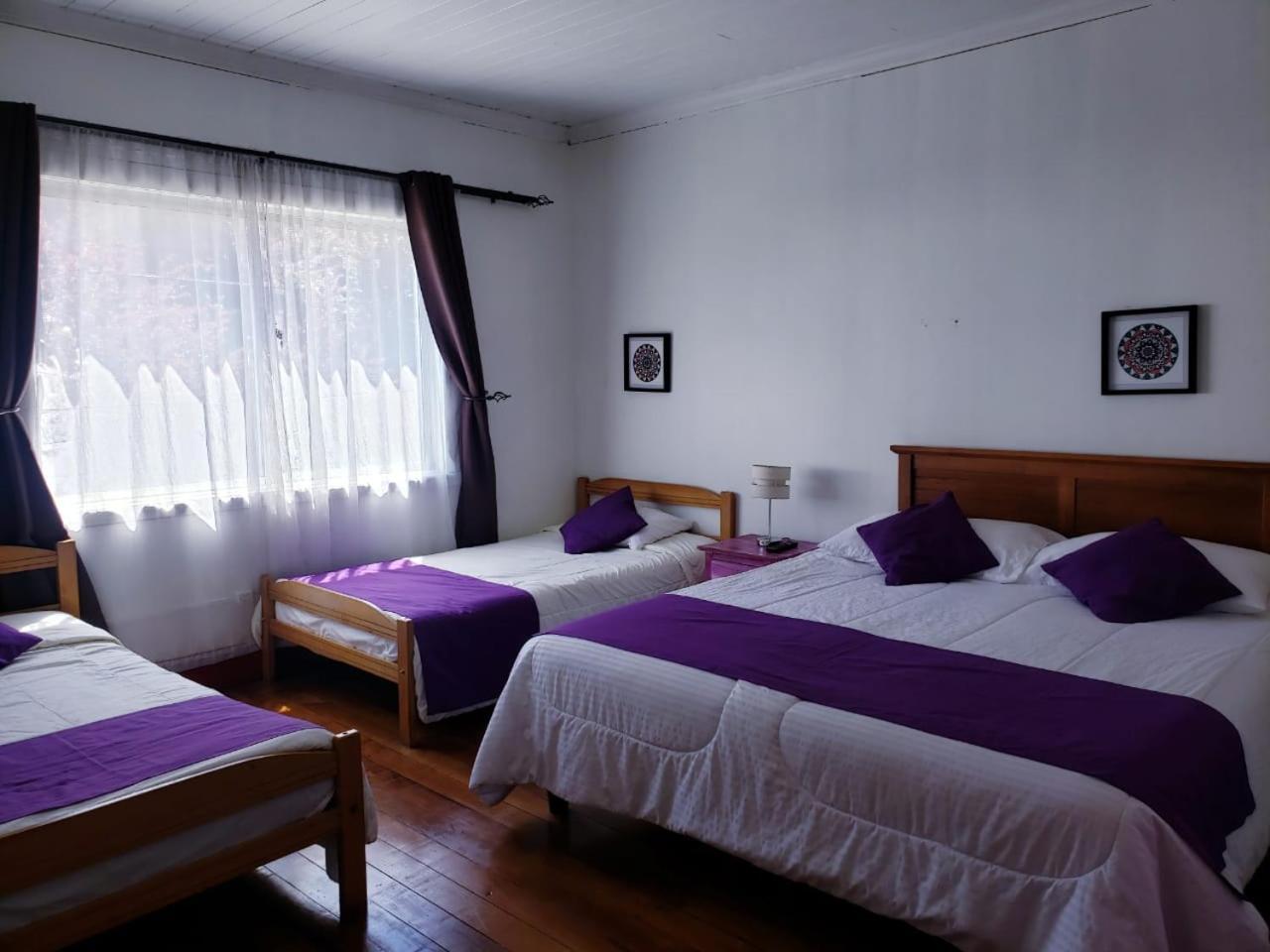 Hostal Arrayan 瓦尔迪维亚 外观 照片