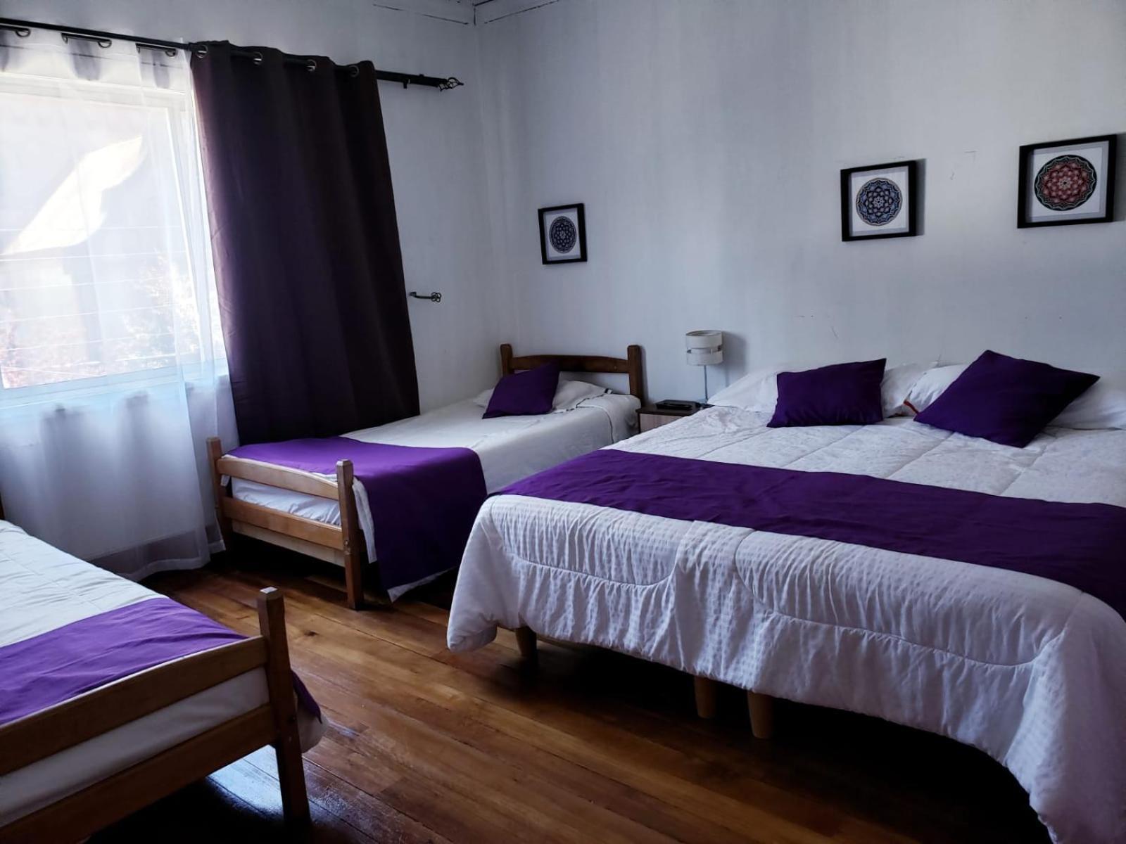 Hostal Arrayan 瓦尔迪维亚 外观 照片
