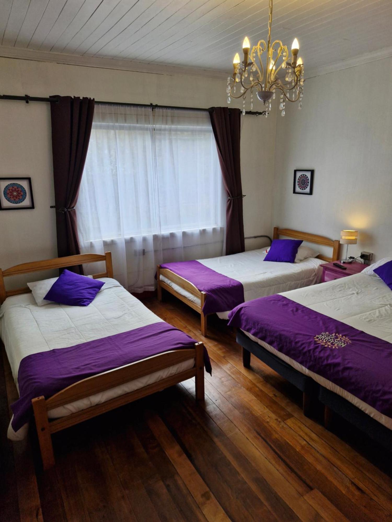 Hostal Arrayan 瓦尔迪维亚 外观 照片