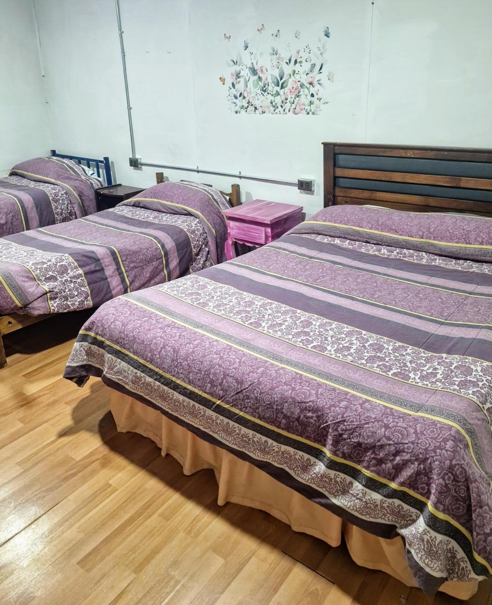 Hostal Arrayan 瓦尔迪维亚 外观 照片